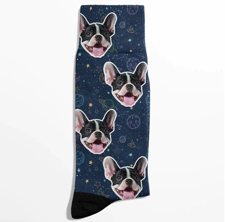 POC Moon Pet Face Socks